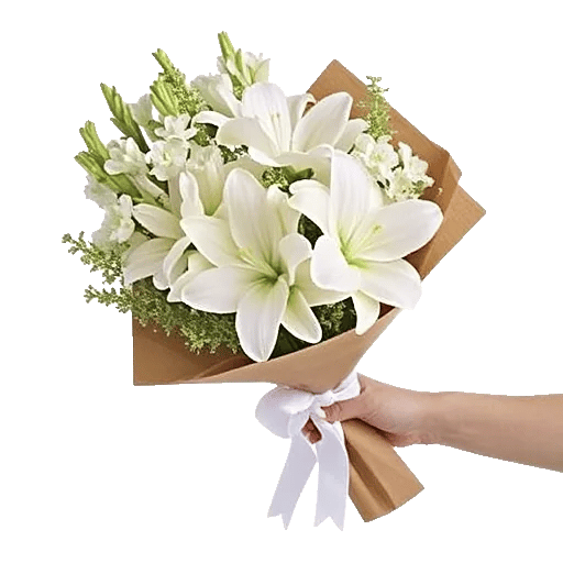 Ivory Blossom Radiance