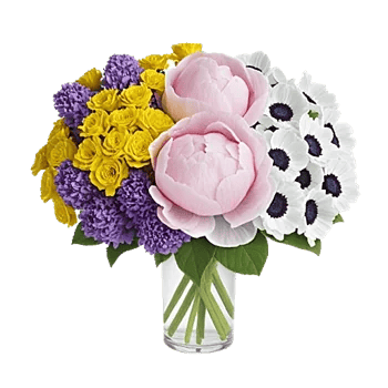 Petal Radiance Bliss