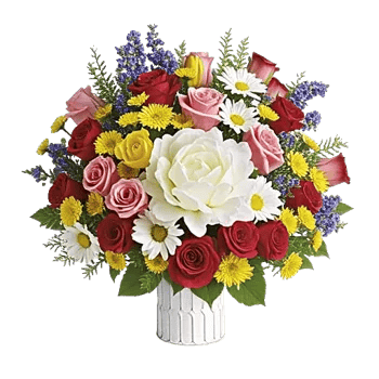 Petal Radiance Bliss