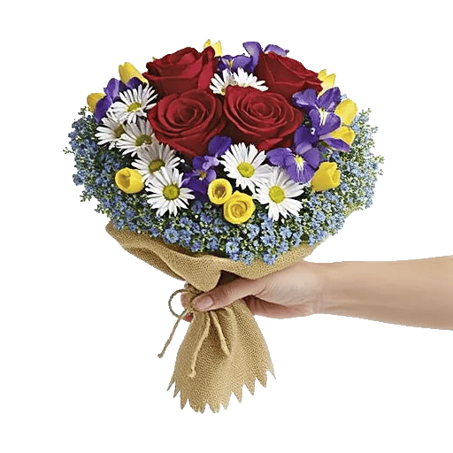 Crimson Rose Elegance