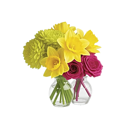 Petal Radiance Bliss