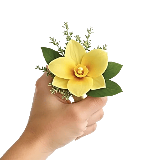 Minimalist White Orchids