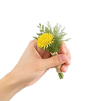 Elegant Calla Lilies