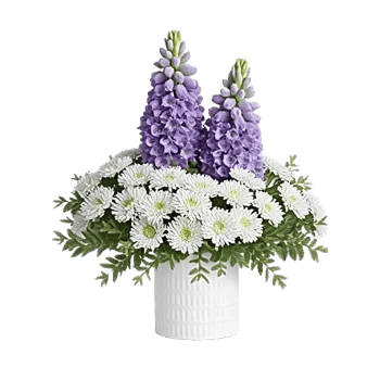 Graceful Lily Display