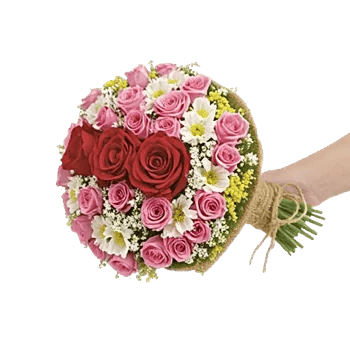 Crimson Rose Elegance
