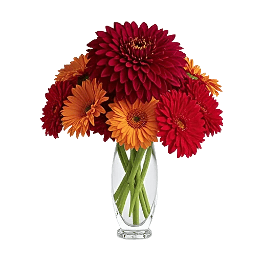 Crimson Blossom Harmony