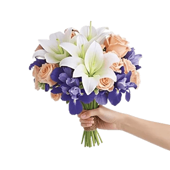 Ivory Blossom Radiance