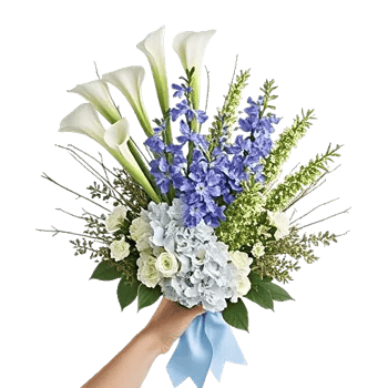 Elegant Calla Lilies