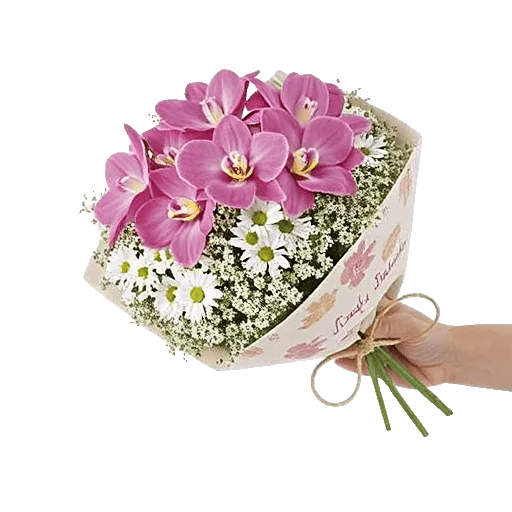 Serenity Orchid Bloom