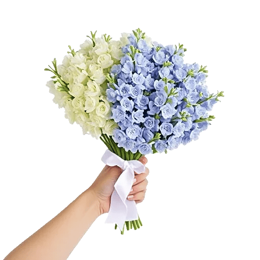 Ivory Blossom Radiance