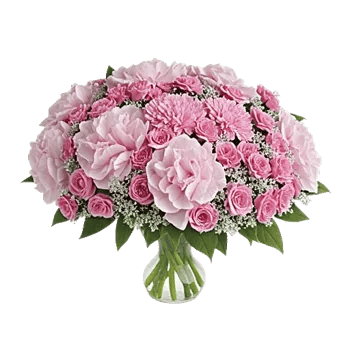 Serene Petal Harmony