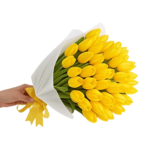 Velvet Tulip Display