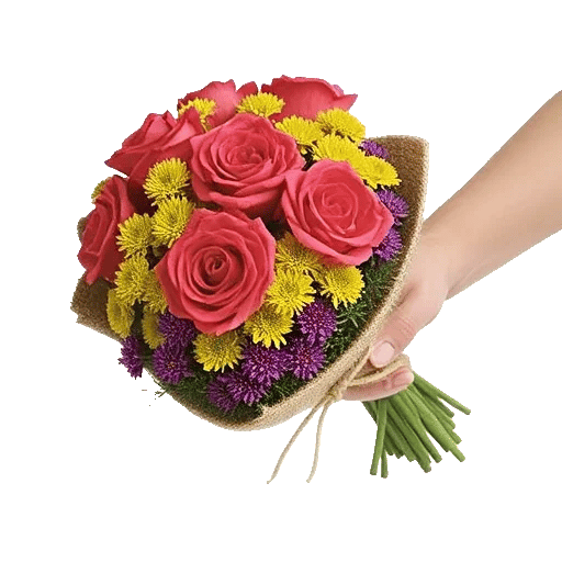 Coral Blossom Harmony