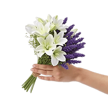 Ivory Garden Grace
