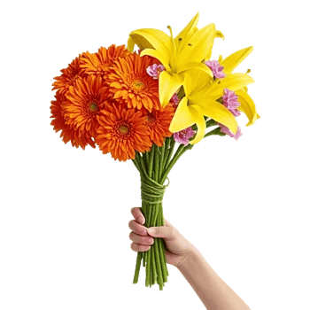 Golden Petal Harmony