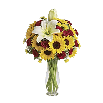 Graceful Lily Display