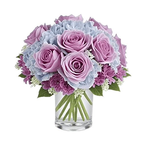 Sapphire Bloom Whisper