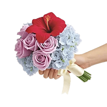 Serene Petal Harmony