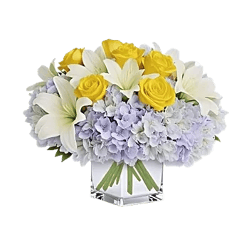 Serene Petal Harmony