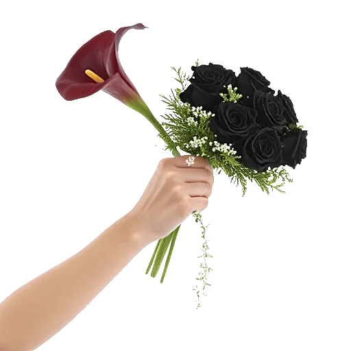 Elegant Calla Lilies