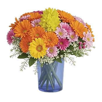 Ivory Blossom Radiance