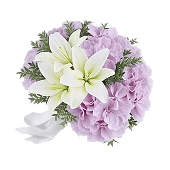Ivory Blossom Radiance