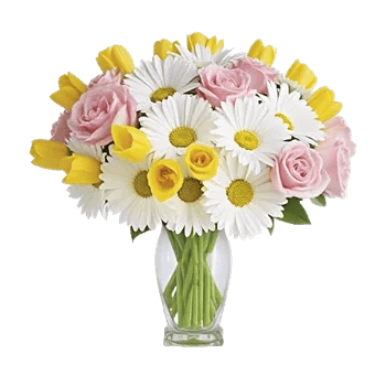 Radiant Petal Display