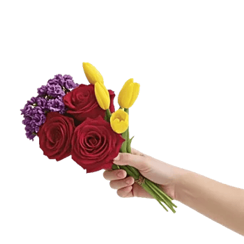 Velvet Tulip Display