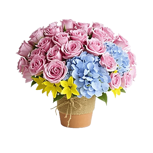 Serene Petal Harmony