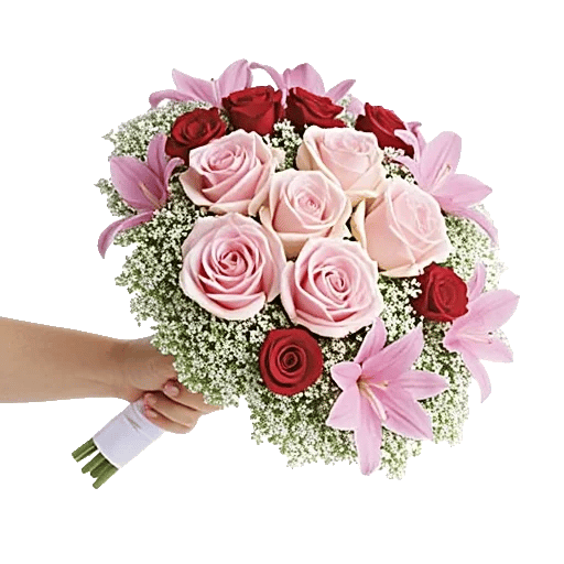 Blushing Rose Symphony