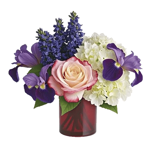 Ivory Blossom Radiance