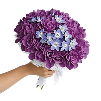 Sapphire Bloom Whisper