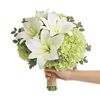 Ivory Garden Grace