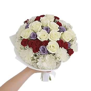 Serene Petal Harmony