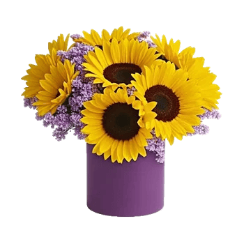 Radiant Bloom Cascade