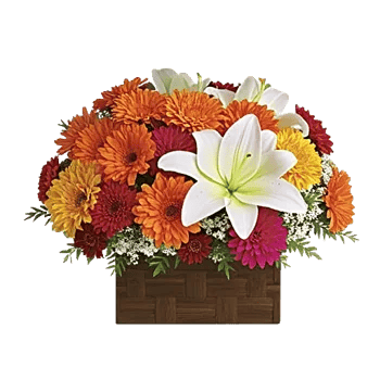 Petal Radiance Bliss