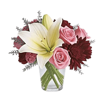 Plum Blossom Radiance