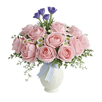 Ivory Blossom Radiance