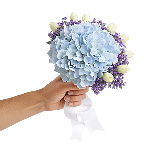 Serene Garden Harmony