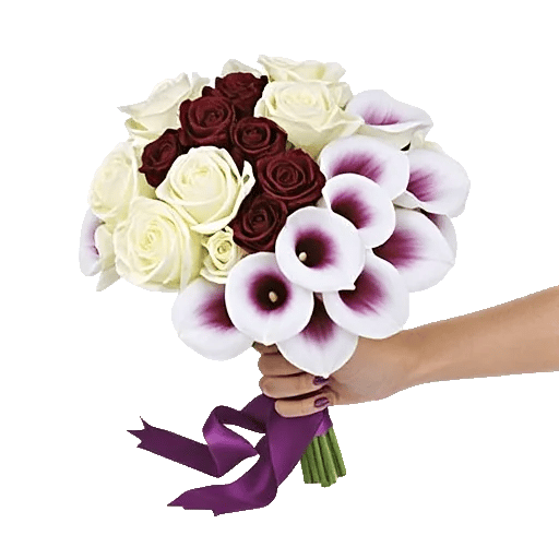 Elegant Calla Lilies