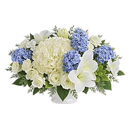 Minimalist White Orchids