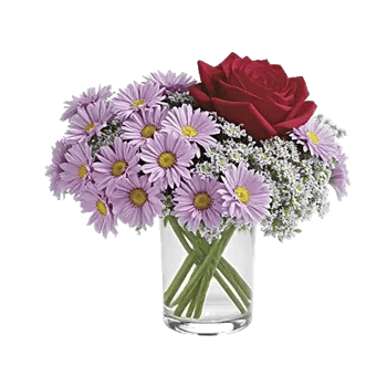 Delicate Petal Cascade