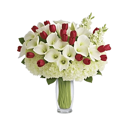 Elegant Calla Lilies
