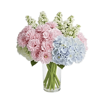 Delicate Petal Cascade