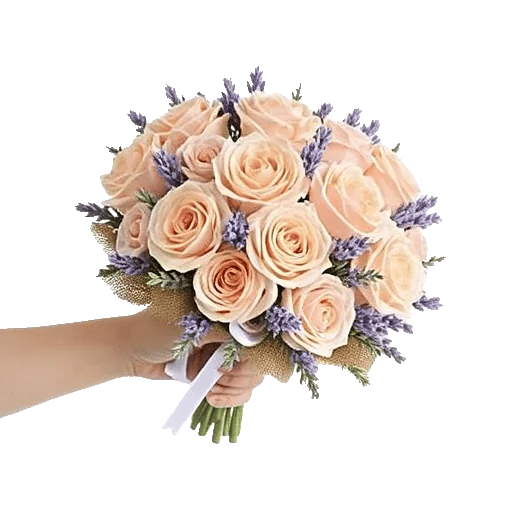 Pastel Pink Roses