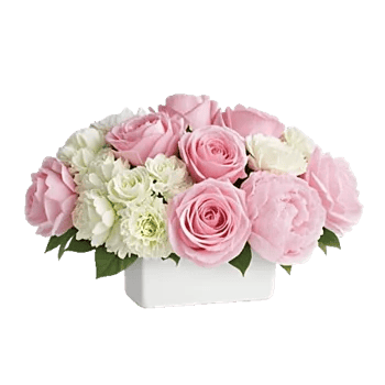 Delicate Petal Cascade