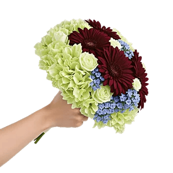 Serene Petal Harmony