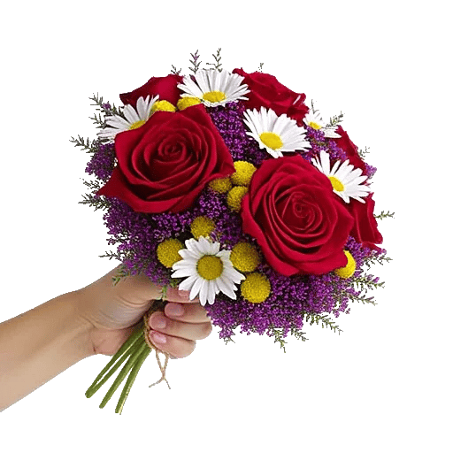 Crimson Rose Elegance