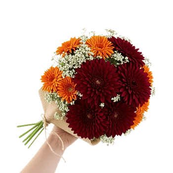 Crimson Blossom Harmony