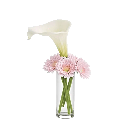 Elegant Calla Lilies